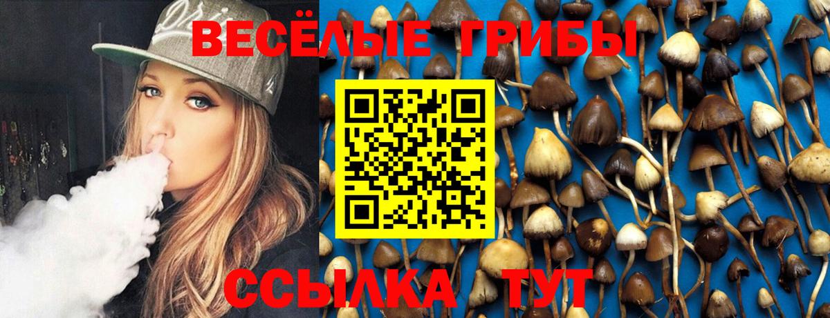 Галлюциногенные грибы Magic Shrooms  Вход с VPN  Волжский 